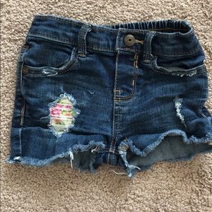 Toddler Shorts